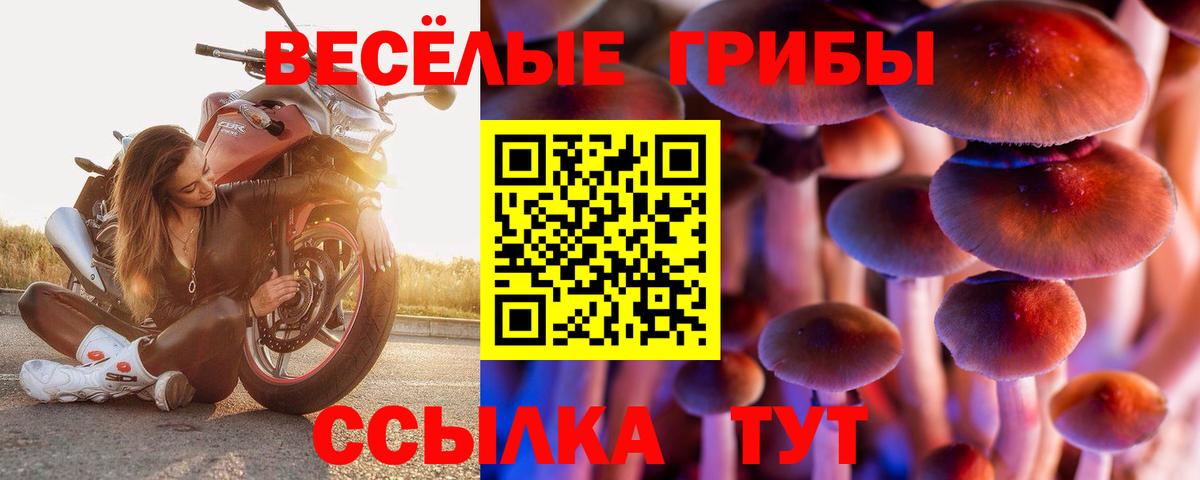 Псилоцибиновые грибы Cubensis Ярославль